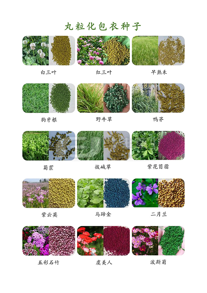 种子丸；庸