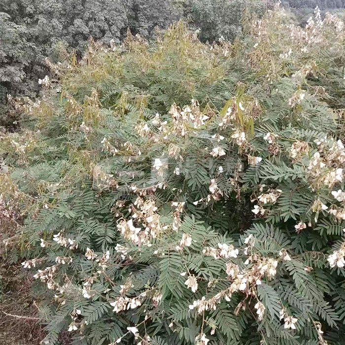 东升国际(中国区) - 官方网站